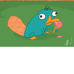 The Platypus Club