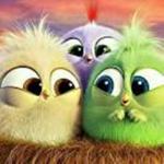 Skye’s Birdies