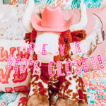 - Vio‘s closet! -