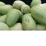 Nhóm Trẻ Trâu Mango