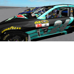 The Narwhal Fans (TNF)'s Raceway!