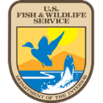 Fishy Nation