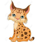 Wild_Cat squad