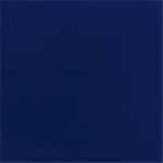 The Royal Napoleonic Roblox Orgznization