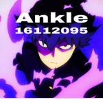 ﾐAnkle