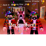 Les amis gameurs