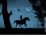 Moonlight Riding Academy!