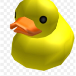 Duck gang (only ducks)