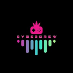 The cyber crew a new era
