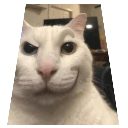 Cute Funny Smirking Meme Cat Cape