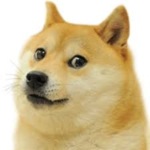 Beargamer Fan Group