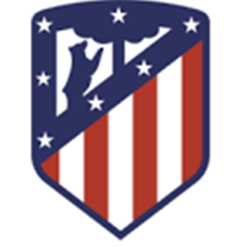 Atletico Madrid Match Pitch 1 