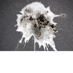 Super bird poop
