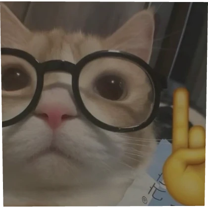 Funny Cat Profile Picture | Roblox Item - Rolimon