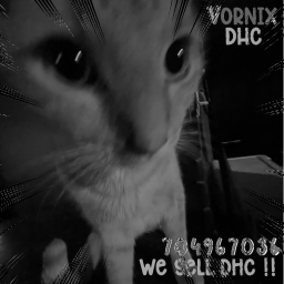 vornix