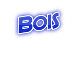 De Bruh Bois