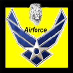Sunnysam7 Group AirForce