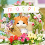 moffi