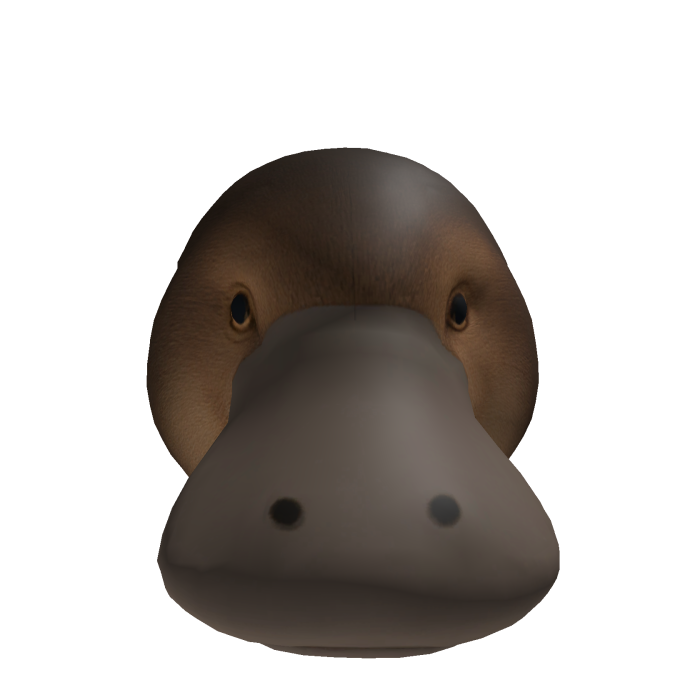 platypus head