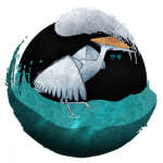 Kage: Sagi