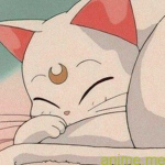 Amy’s Kitty
