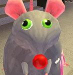 rat club for ppl who like rats