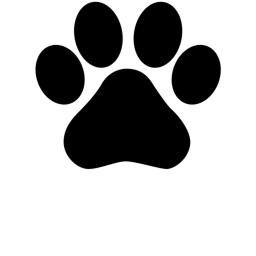 🐕Paws of steel Meeting🐶