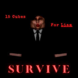 15 Cubes For Liam