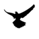 Bald Eagle Coffee House ®