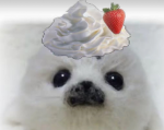 Sealpaws