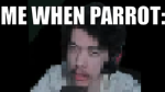 Parrot Hunters