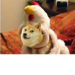 Doge Chiken