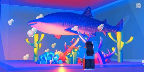 Ocean Conservation Experience