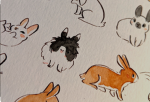Bunnies club! Join today!