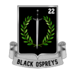 73rd Aviation Squadron