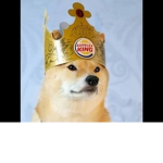 Doge Empire - Worlds Ruler