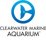 [CMA] Clearwater Marine Aquarium