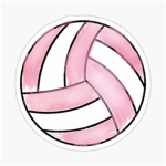 Warriors Volleyball Academy #####