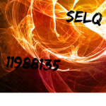 SELQ
