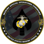 Marine Forces Special Operation Command