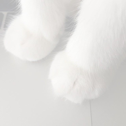 >ᴗ<
