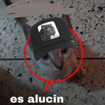 Racistas Del Boblox