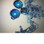 Bots only