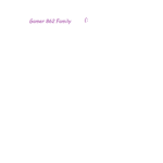 Gamer 862 Family