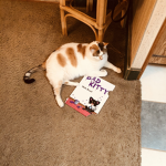 Tris’ shop & chat