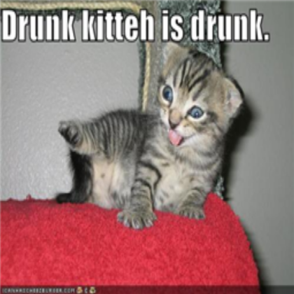funny-pictures-drunk-kitten Roblox decal