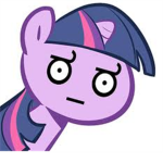 FIM Fan group
