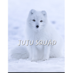JUJU'S SQAUD