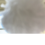 The Pom Pom group