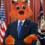 coolcat inc.